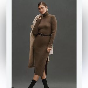 NWT Robin cashmere dress